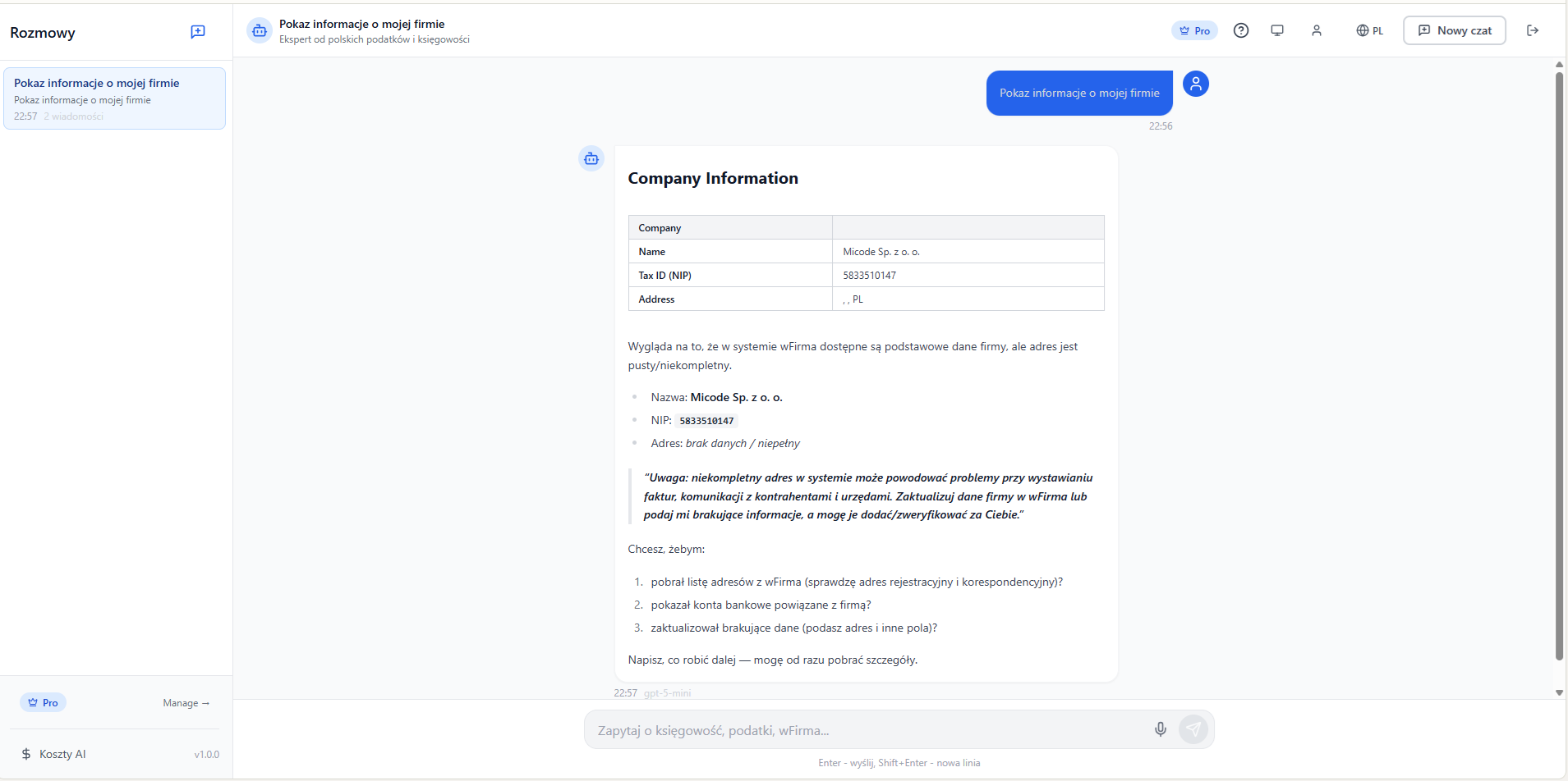 Accounting AI Agent